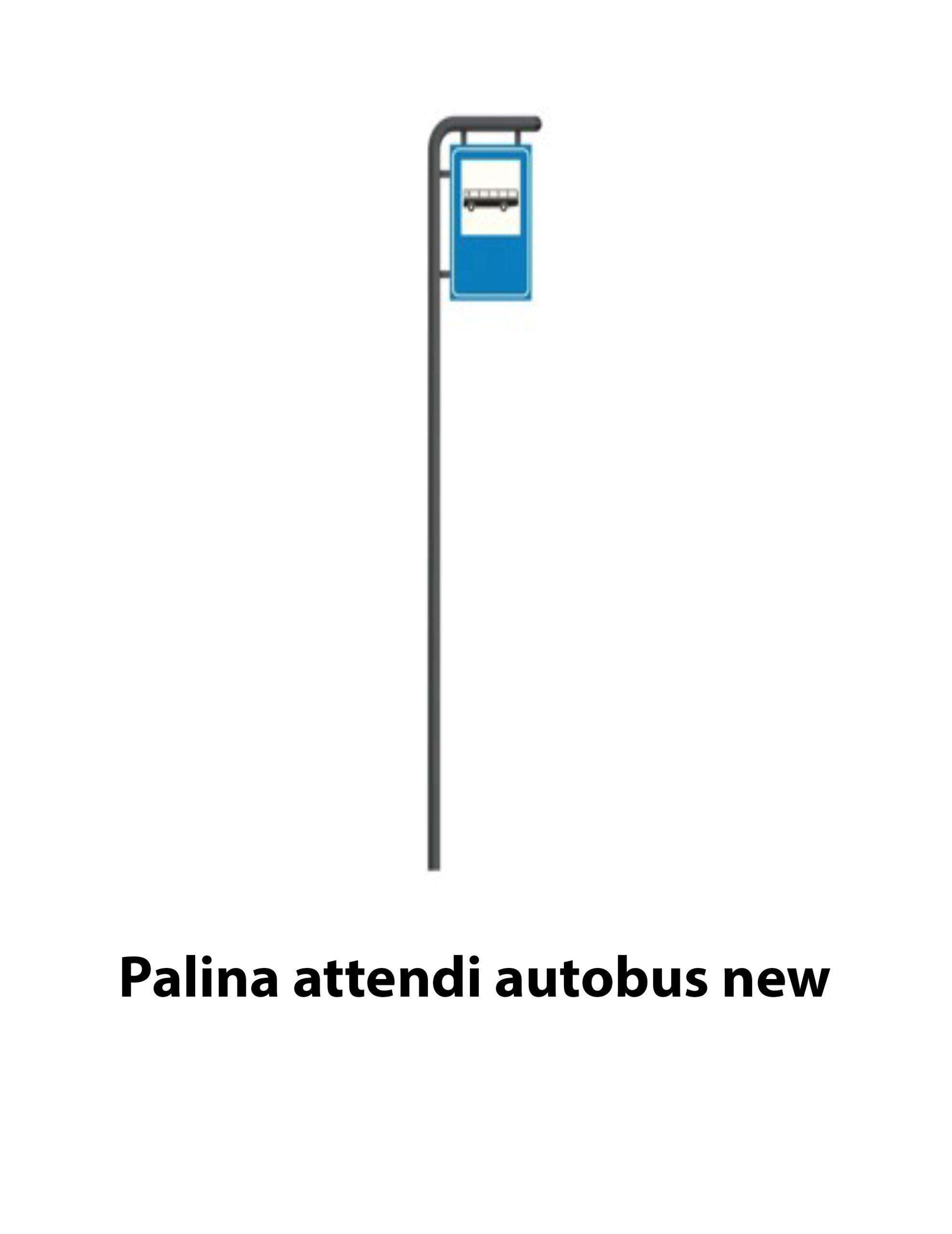 Paline - immagine 5
